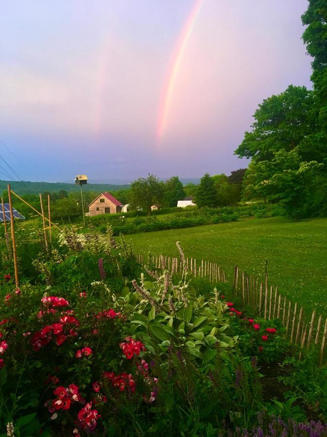Enfield Manor Bed&Breakfast And Vacation Rental Newfield Kültér fotó