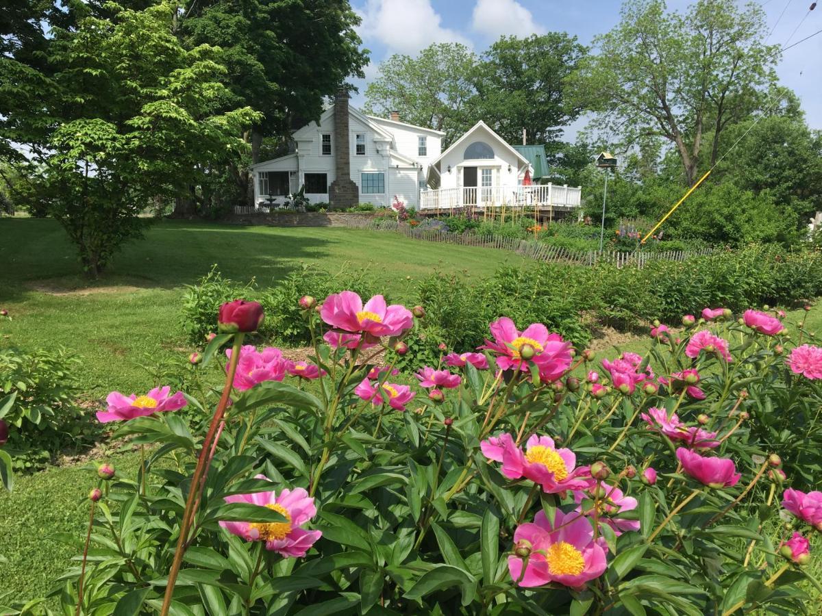 Enfield Manor Bed&Breakfast And Vacation Rental Newfield Kültér fotó